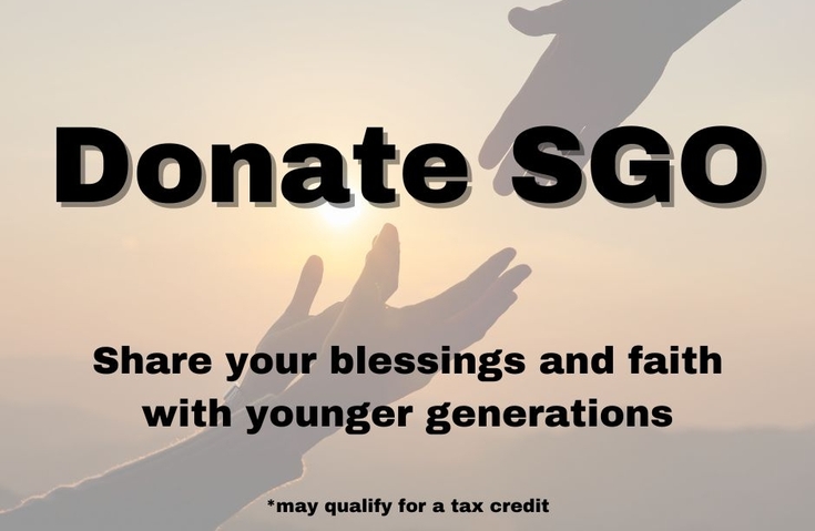 Scholarship Granting Organization (SGO)