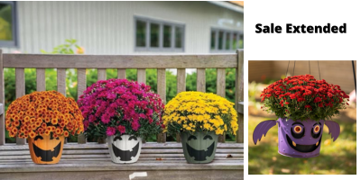 Sale ends Wednesday