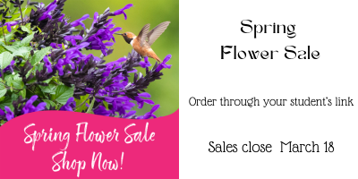 Spring Flower Sale
